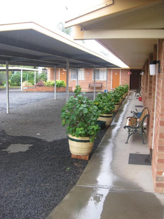 Alfa Motel Gilgandra Zewnętrze zdjęcie